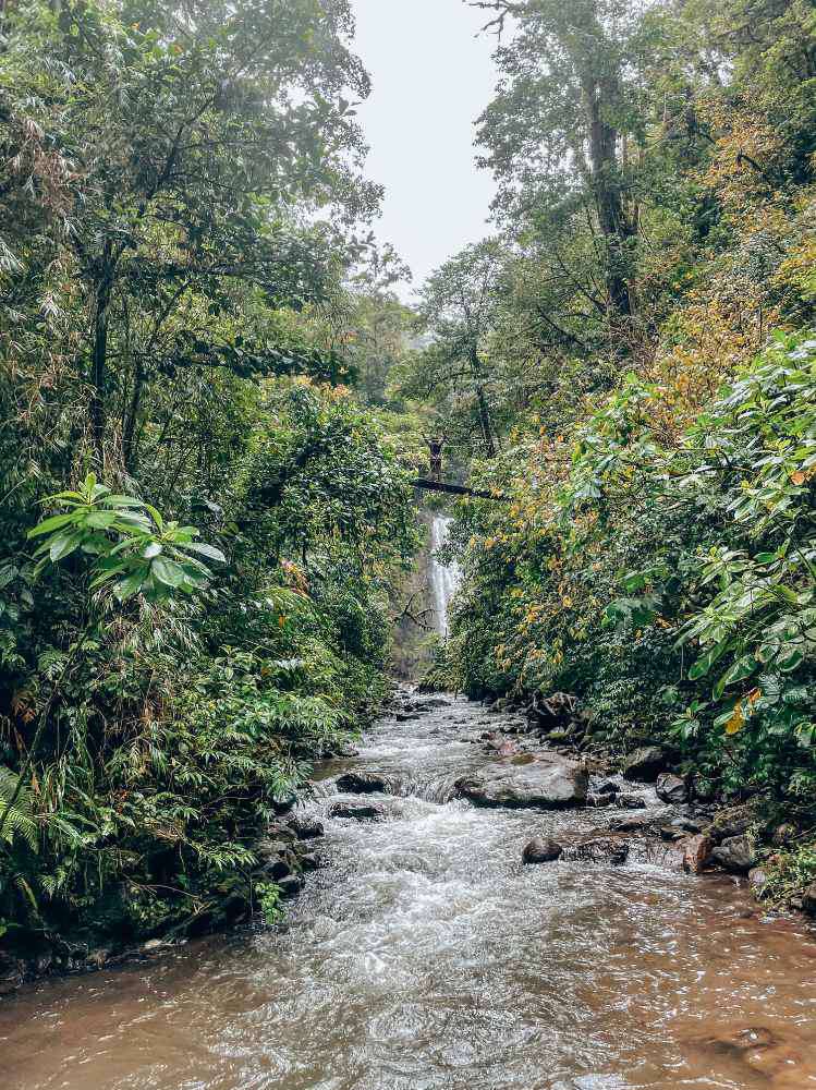 Monteverde , El Tigre Waterfalls Monteverde