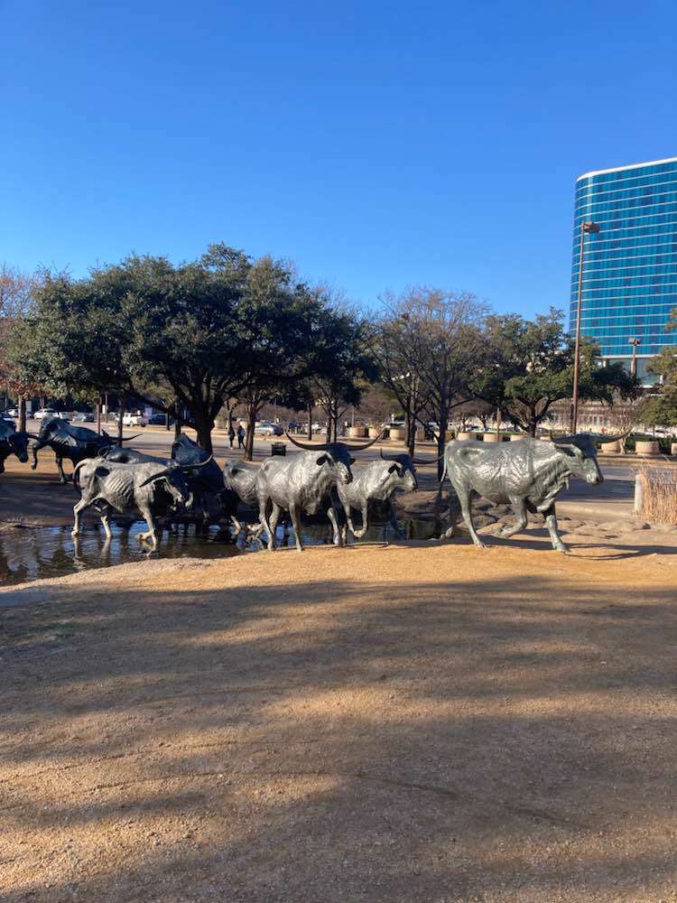 Dallas, Pioneer Plaza Cattle Drive
