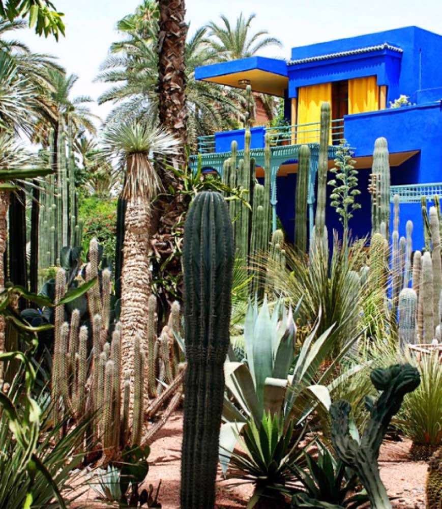 Marrakech, Jardin Majorelle-Yves Saint Laurent Mansion