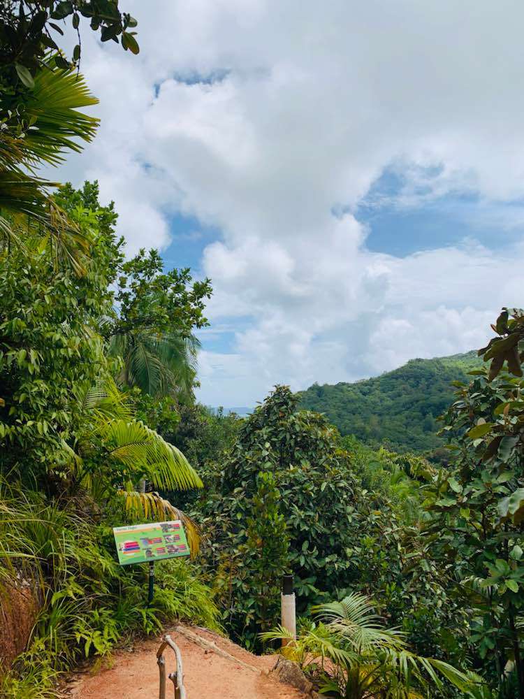 Baie Ste Anne, Vallée de Mai, Praslin, Seychelles