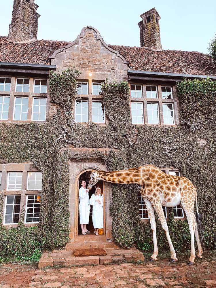 Nairobi , Giraffe Manor