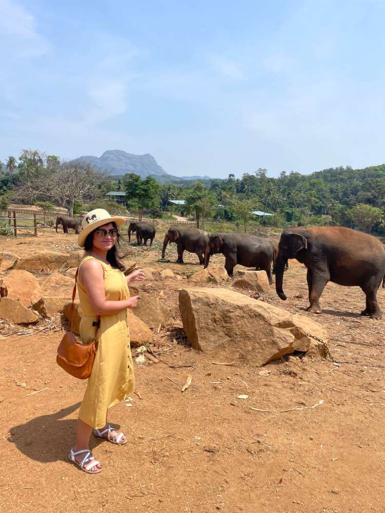 Rambukkana, Elephant Orphanage