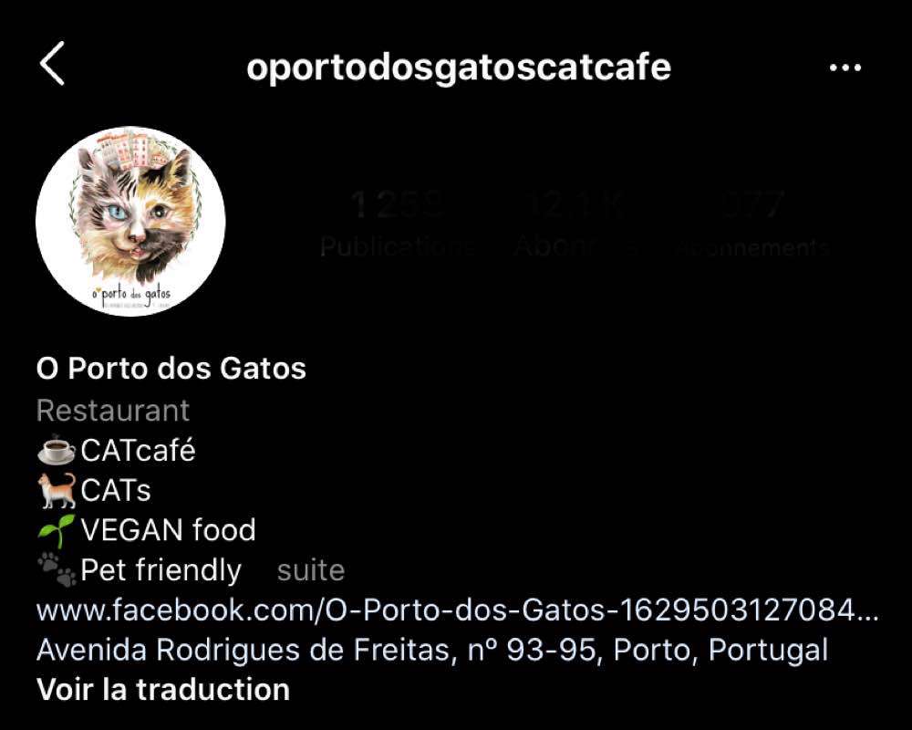 Porto, O Porto dos gatos