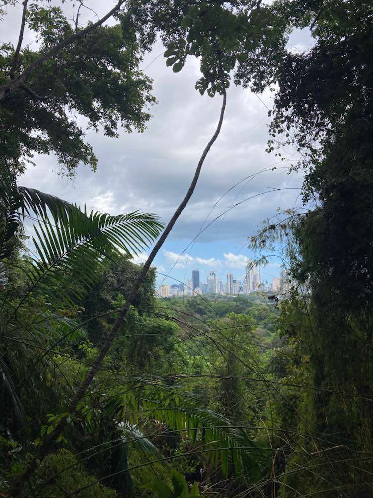 Panamá, Metropolitan Natural Park