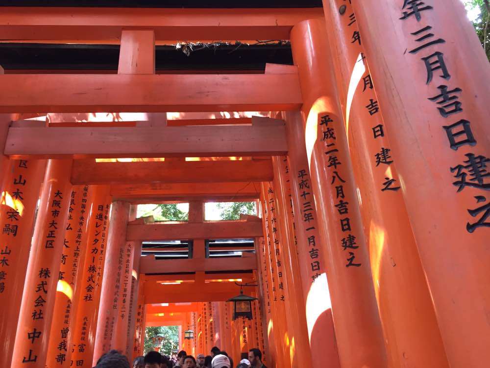Kyoto, Santuario di Fushimi Inari-taisha