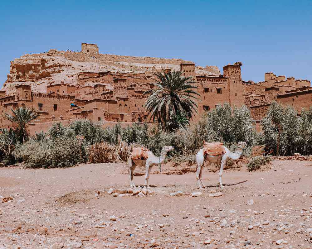 Ouarzazate, Ouarzazate