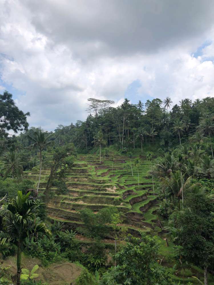 Kabupaten Gianyar, Tegallalang Rice Terrace