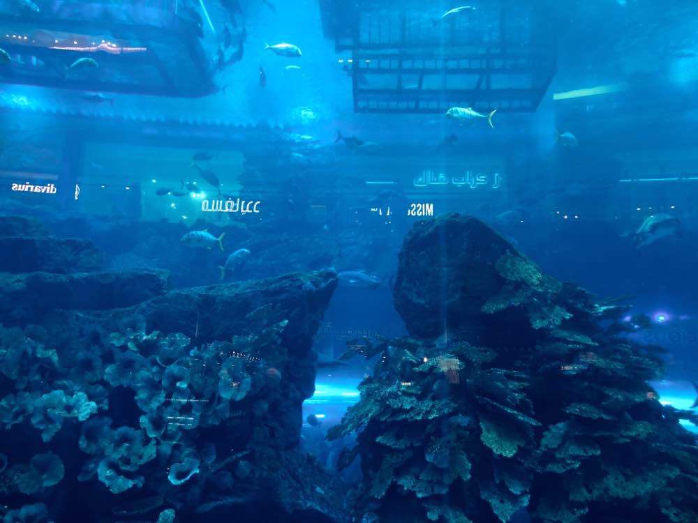 Dubai, Dubai Aquarium & Underwater Zoo