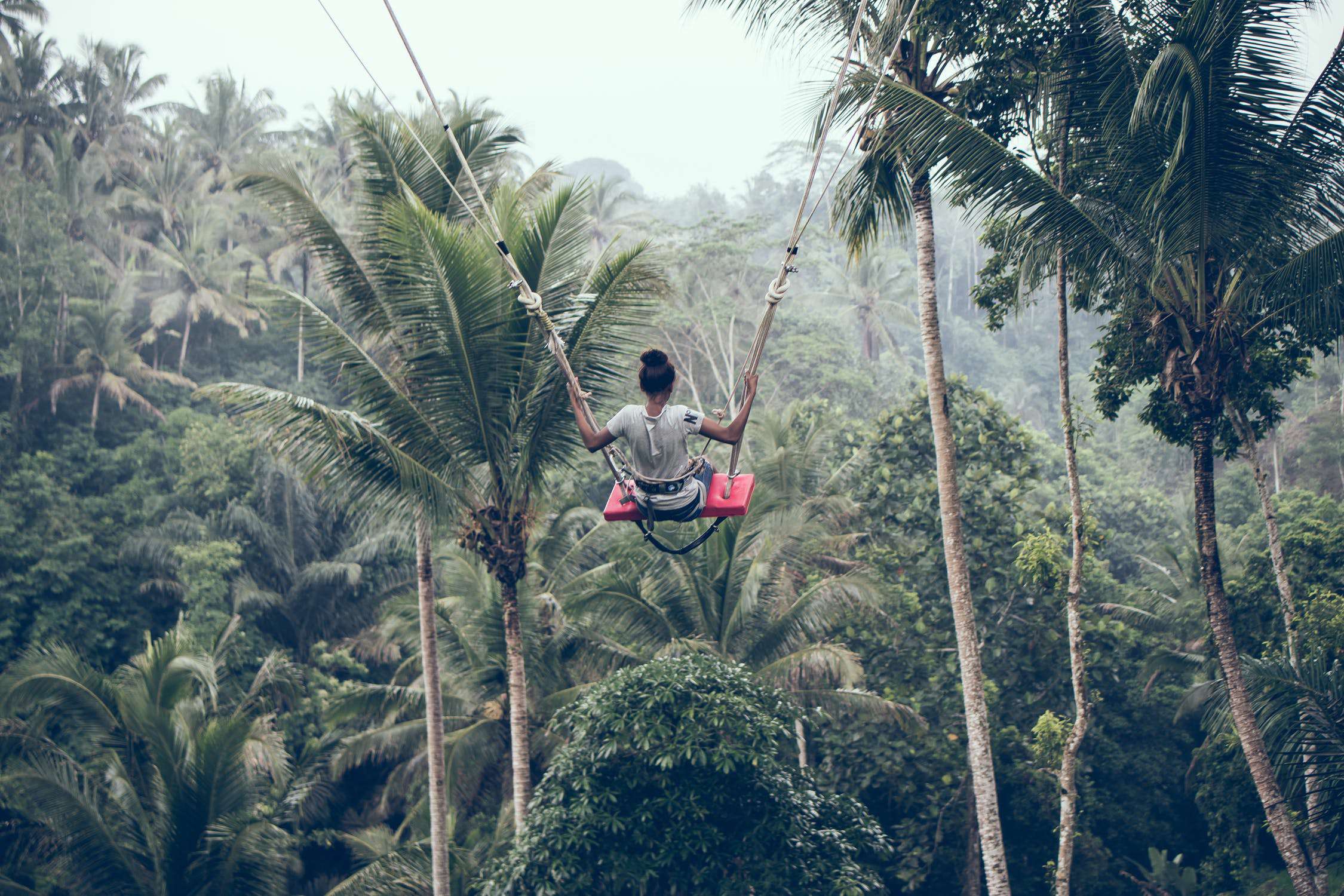 Ubud, Bali Swing, Tegalalang Rice Terrace
