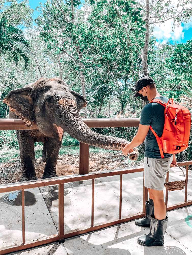 Paklok, Phuket Elephant Sanctuary